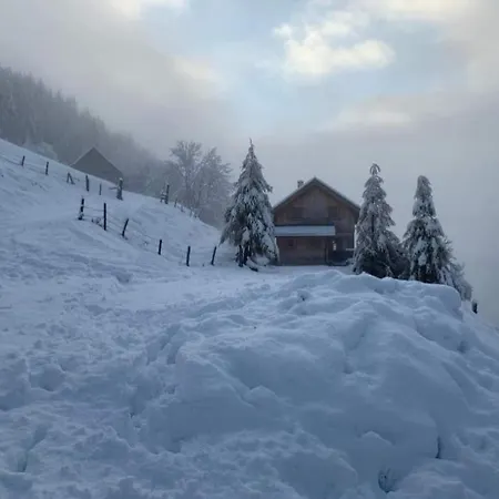 Marhuette 山林小屋